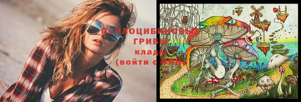 гидропоника Гусев