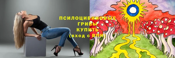 крисы Гусь-Хрустальный