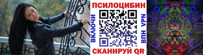 блэк спрут зеркало  Донецк  Галлюциногенные грибы Psilocybe 